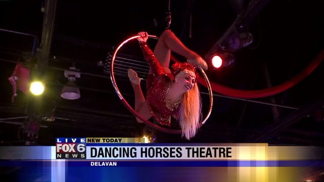 What you`ll see at The Dancing Horses Theatre Holiday Show