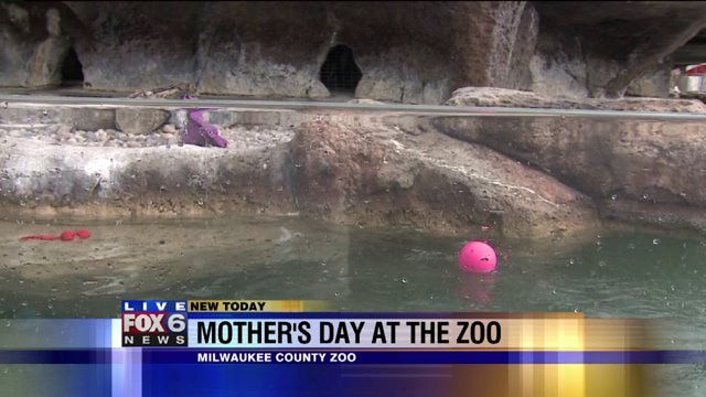 Laura has a blast playing with animals at the zoo