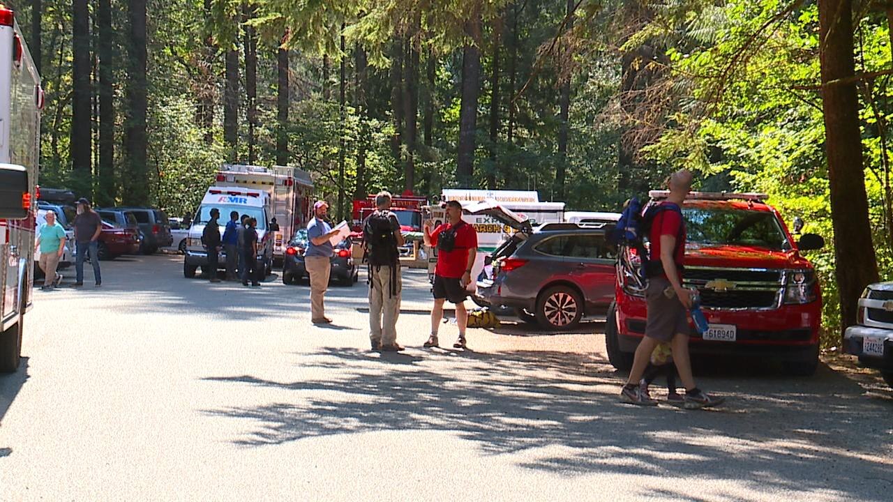 Tree falls on hikers