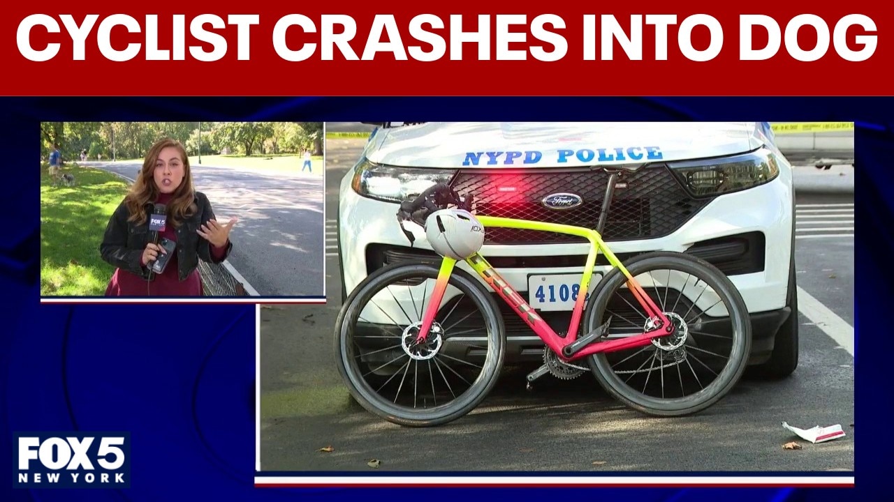 Central Park cyclist dies after collision with unleashed dog