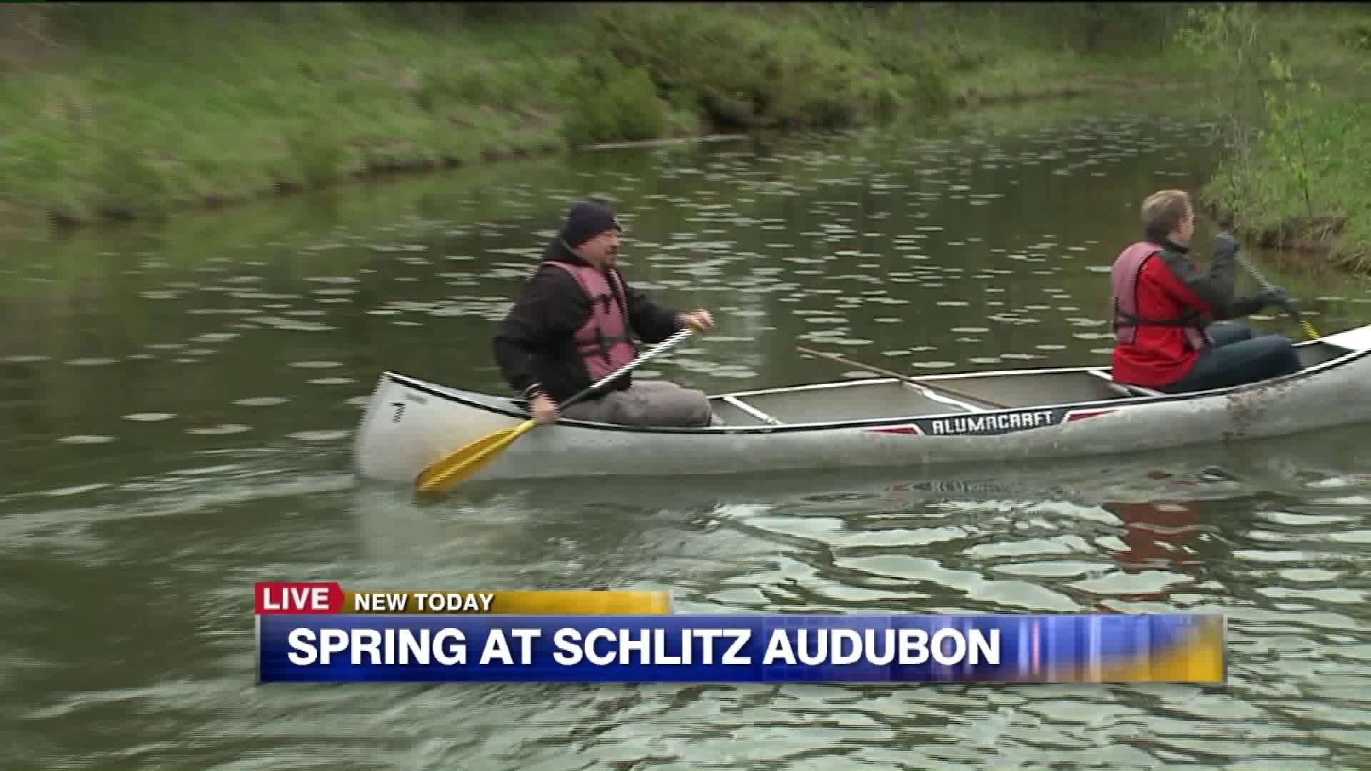 Spring at Schlitz Audubon