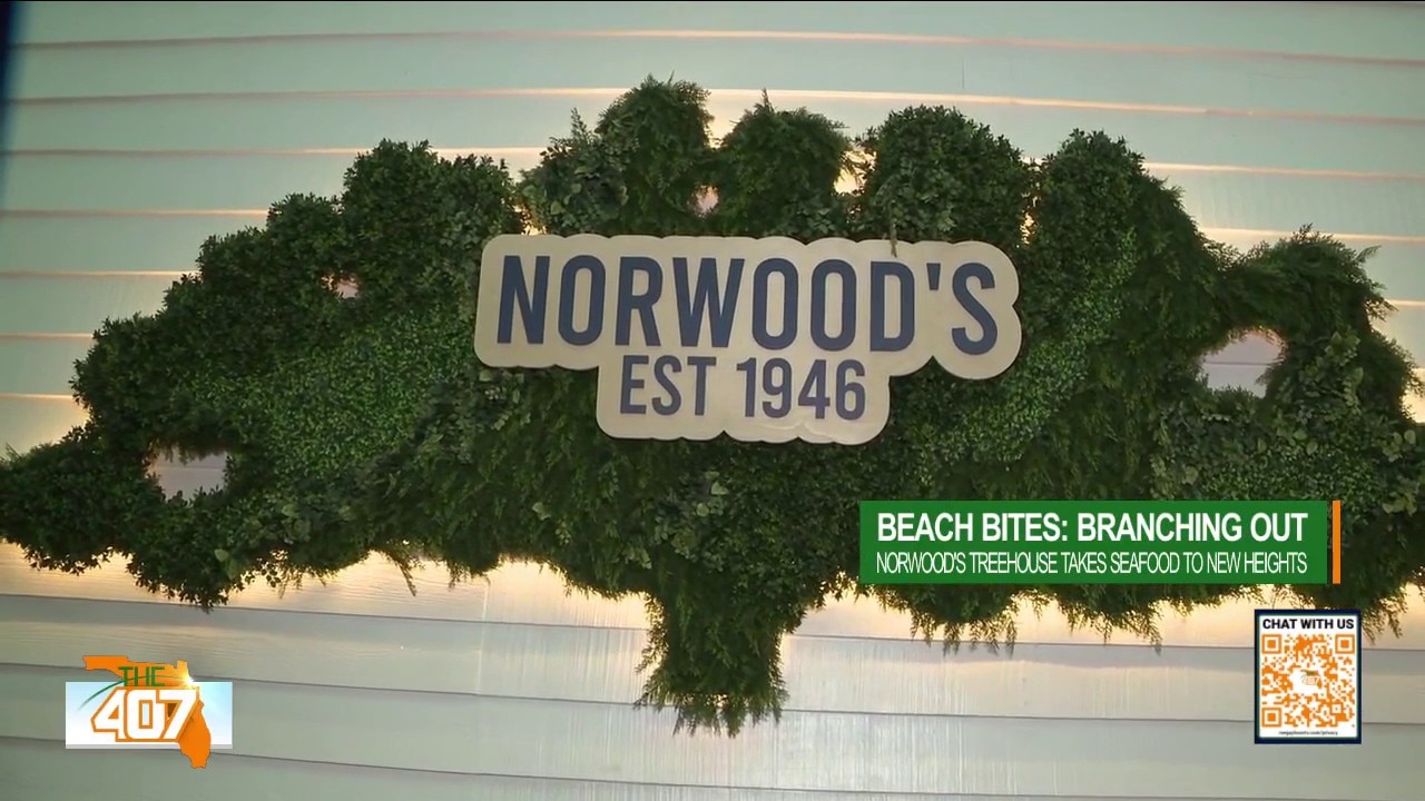 Beach Bites: Inside the iconic New Smyrna Beach restaurant with a treehouse bar