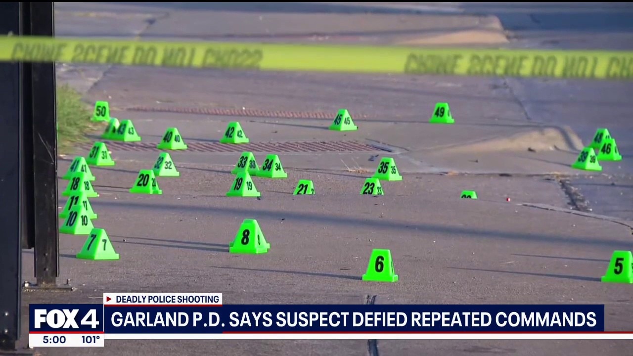 Garland police fatally shoot man with machete