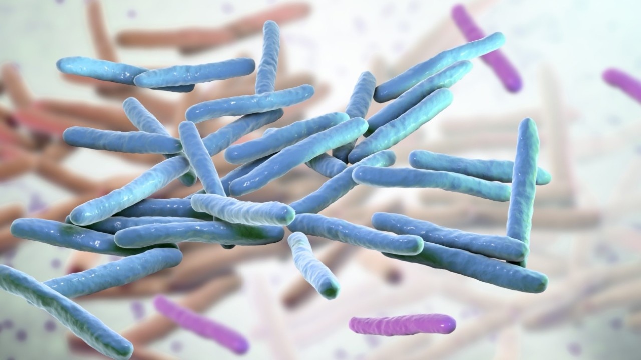 Leprosy cases increase in the US: Here's what to know