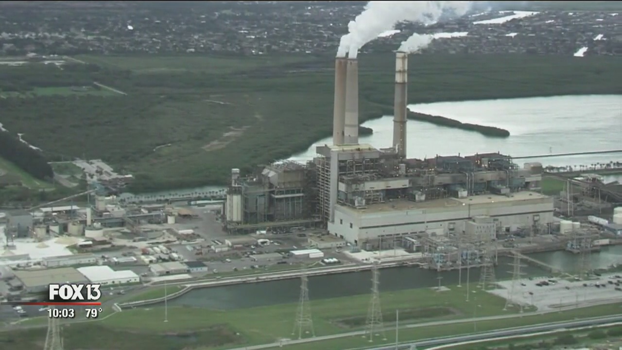 TECO vigil
