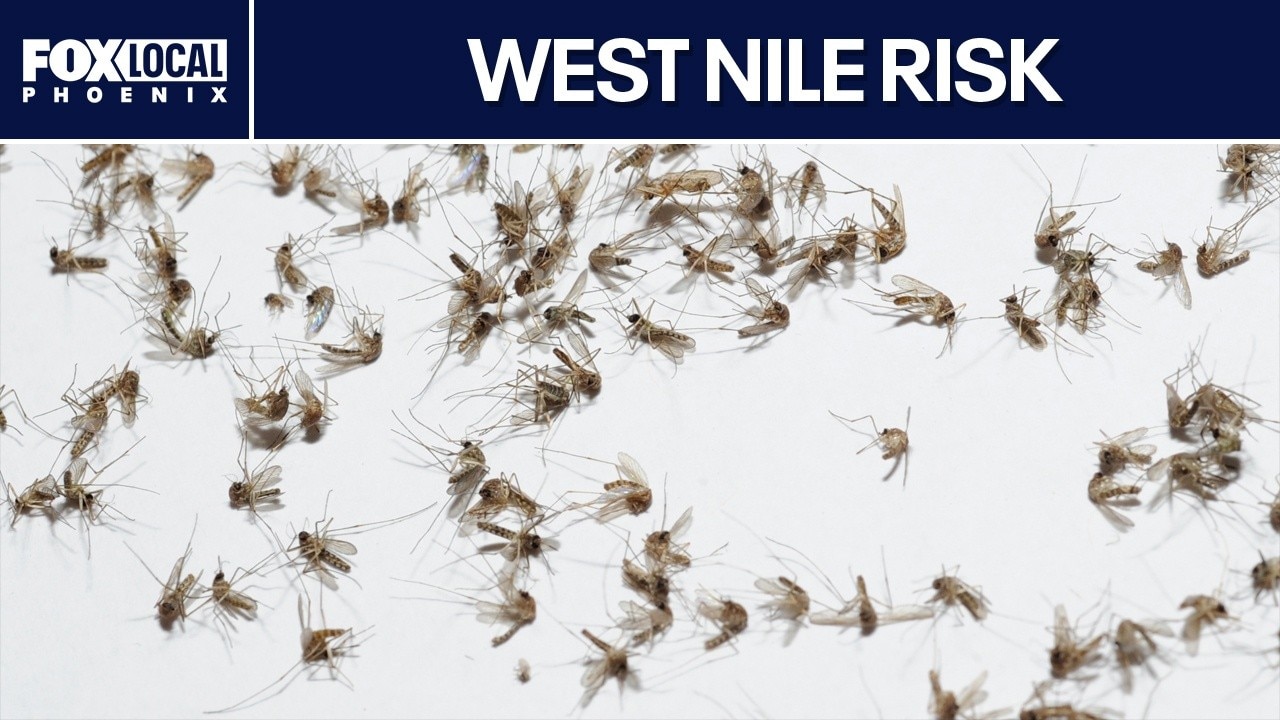 West Nile: Maricopa County tracks rising cases