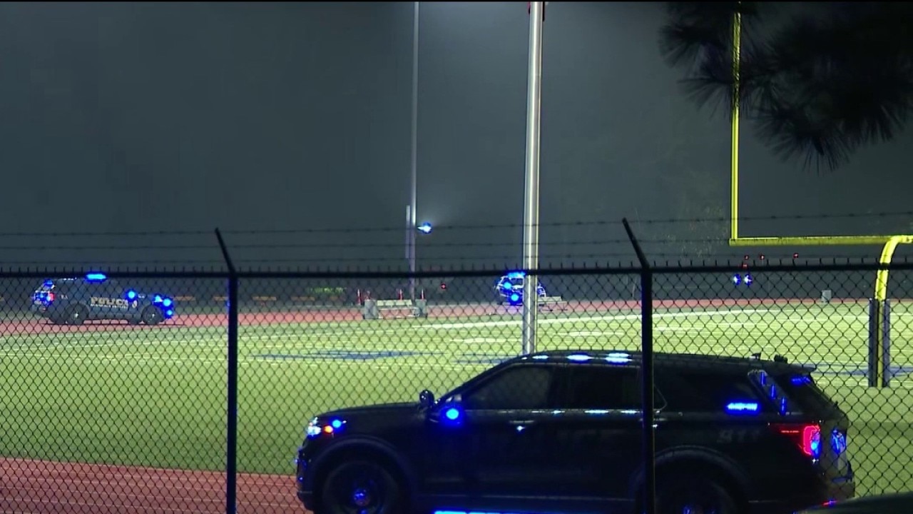 Felon charged after gunfire near Avondale fireworks show