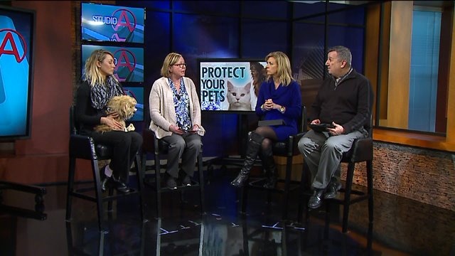 Protect your pets when the bitter cold settles in