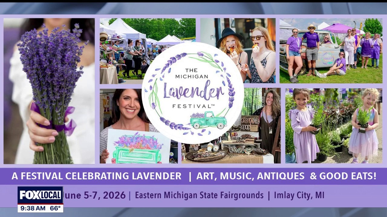 Michigan Lavender Festival returns to Imlay City