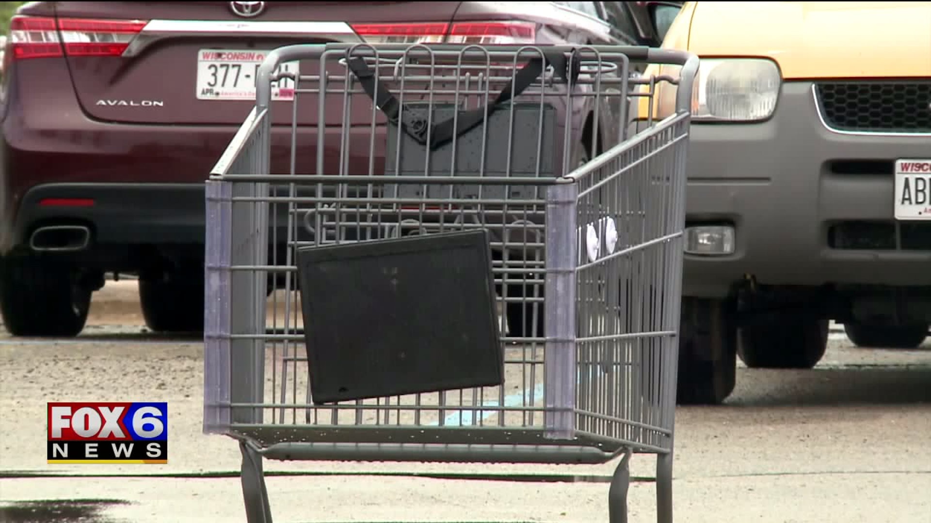 Woman robs 87-year-old man in his driveway