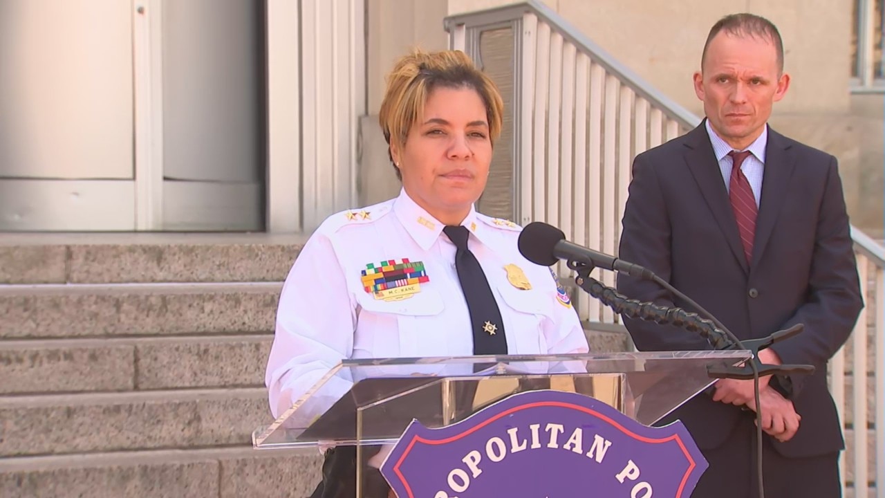 DC Police give update after 2 dogs stolen