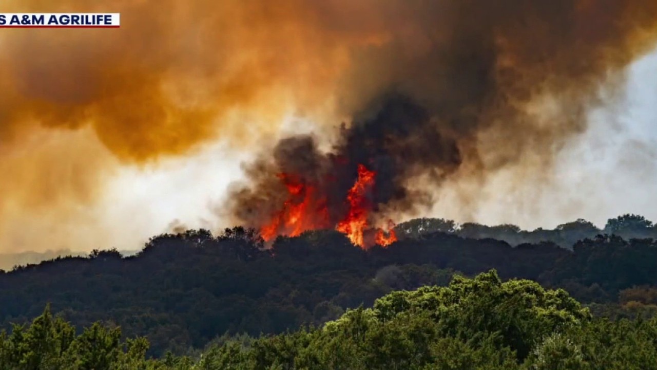Crews battling wildfires across Texas