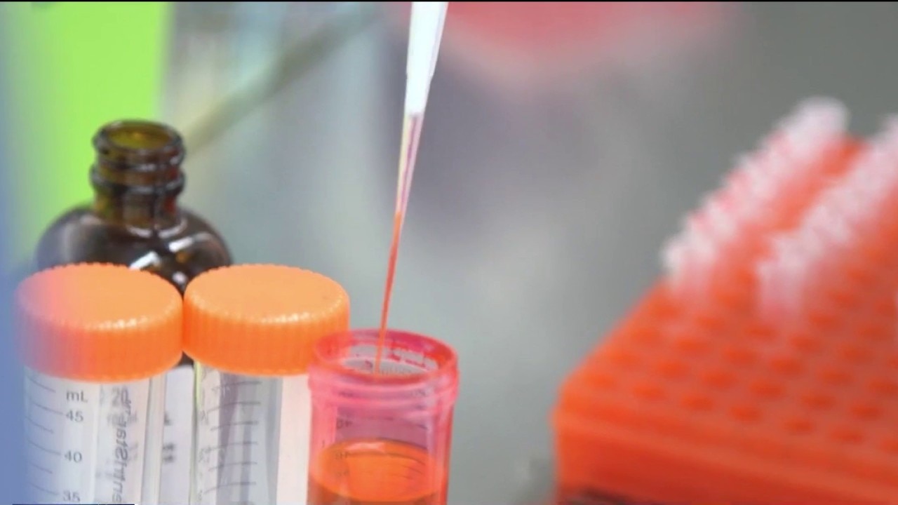 New blood test makes pancreatic cancer easier to detect
