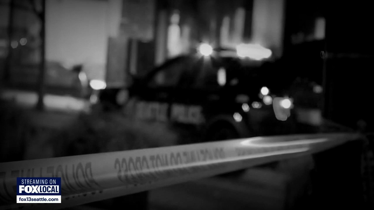 Seattle councilmembers call out Mayor Wilson on gun violence plan