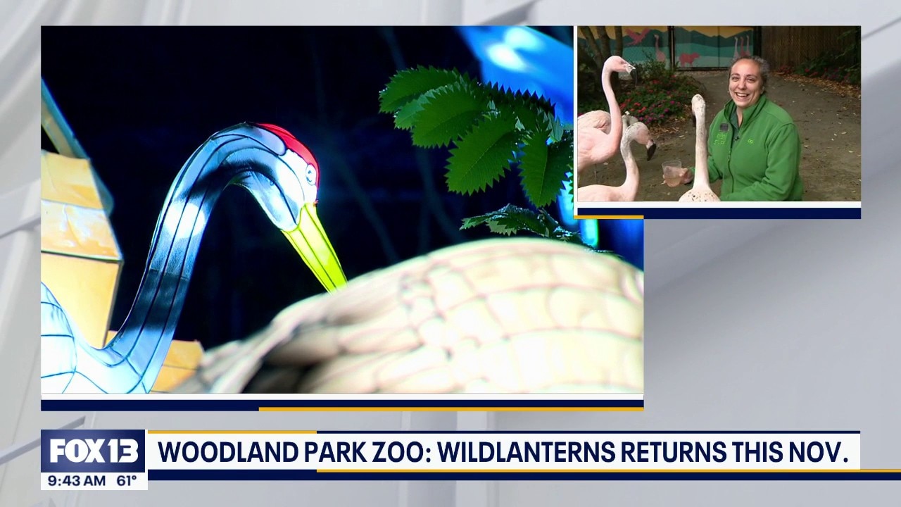 WildLanterns at Seattle's Woodland Park Zoo returns November