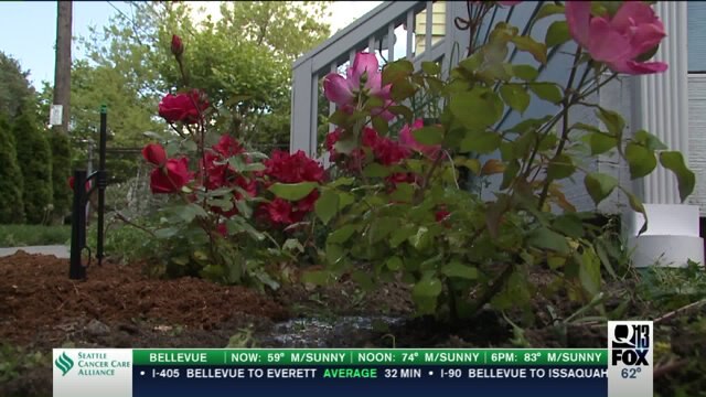 Gardening with Tim
