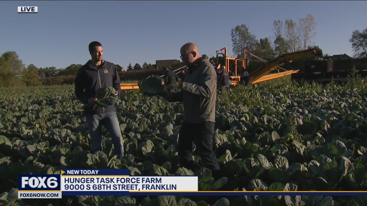 The Hunger Task Force Farm is a unique 208-acre farm in Franklin
