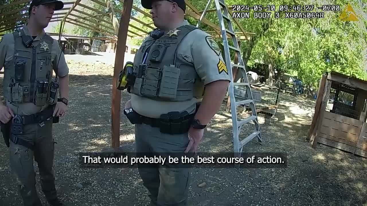Body cams roll as deputies make decision to kill 64 roosters