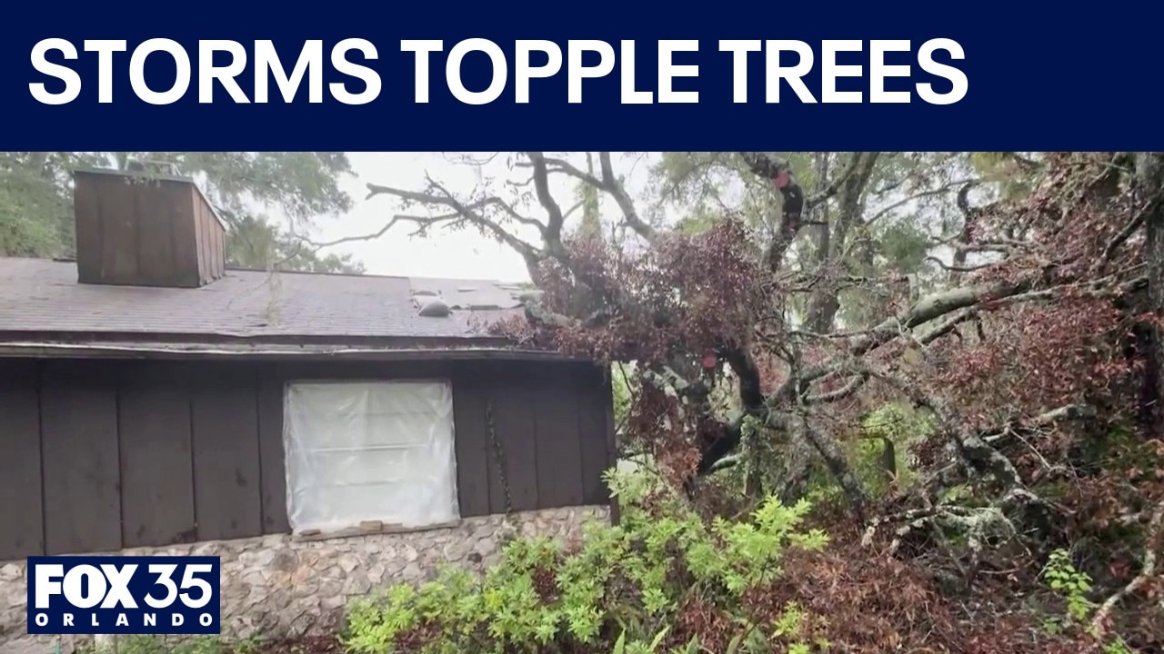 Storms topple trees, damage homes in Ocala neighborhood