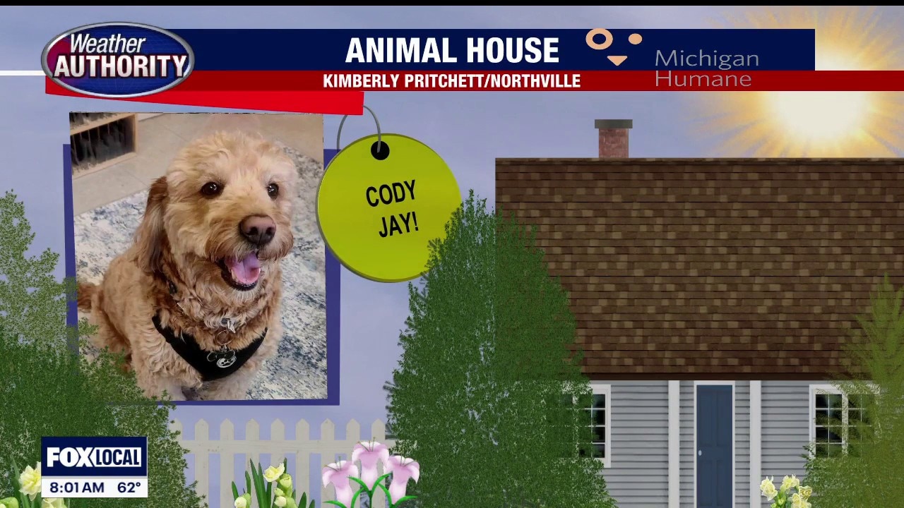 Welcome Cody Jay, Miss Maddie, Romeo