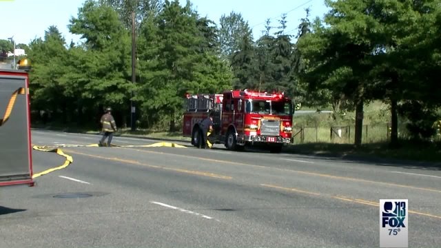 Possible arson suspect