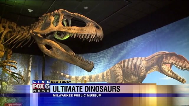Laura learns about some of the dinosaurs in the exhibit