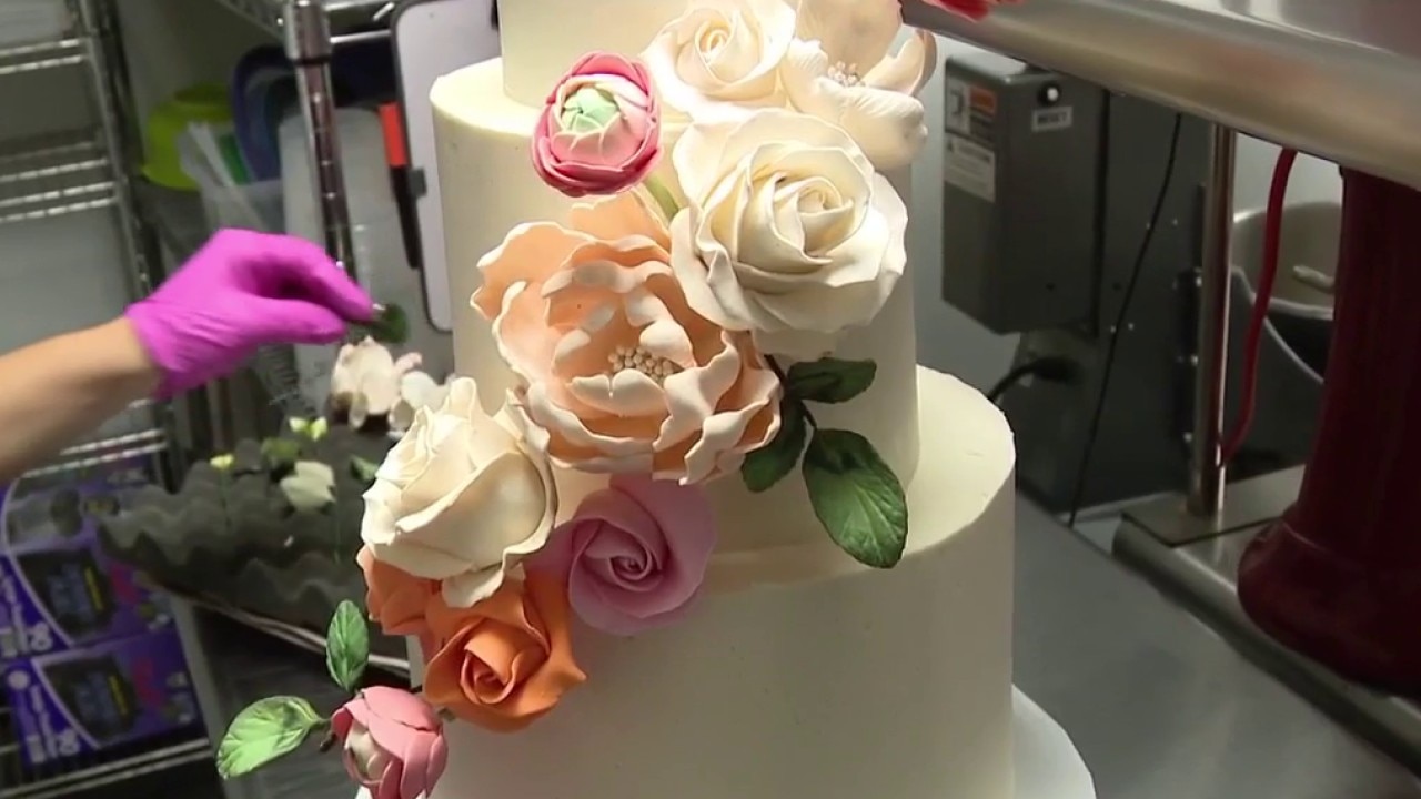 Tampa Bay Cake Company in Apollo Beach