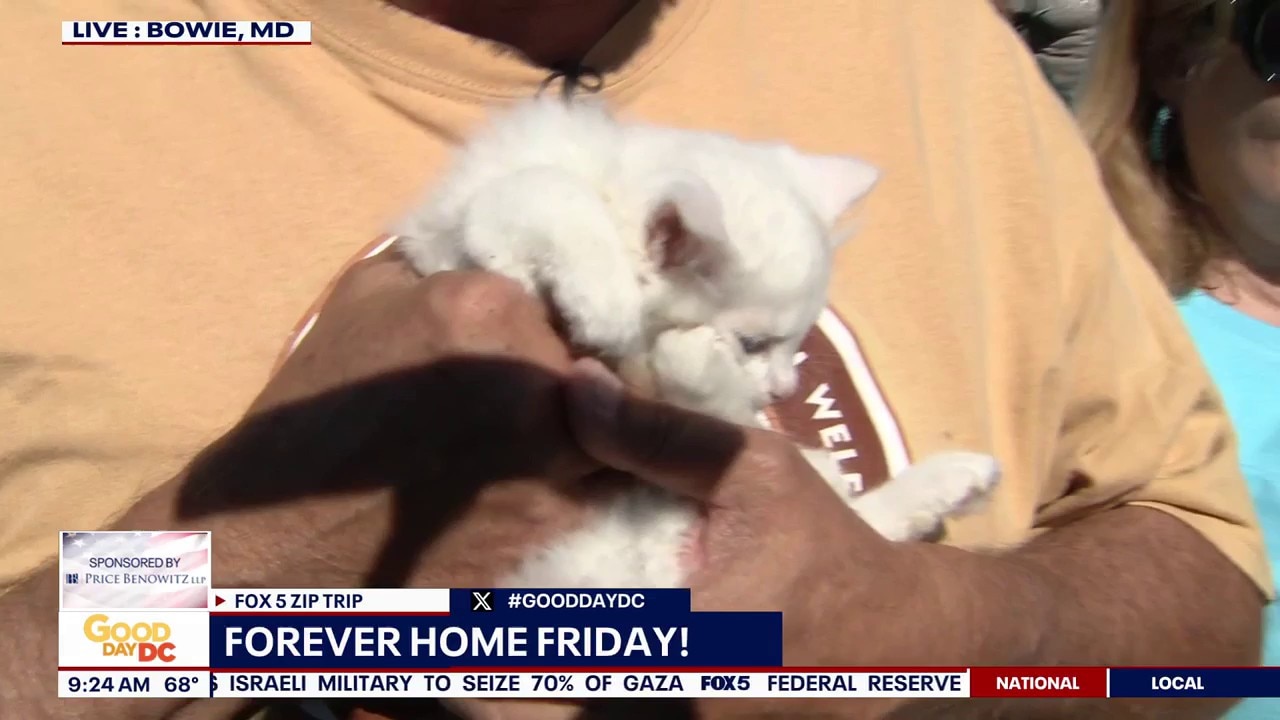 Forever Home Friday : Bowie, MD