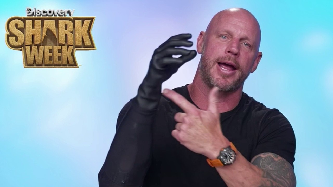 Paul de Gelder talks journey from shark attack survivor to 'Shark Week' host