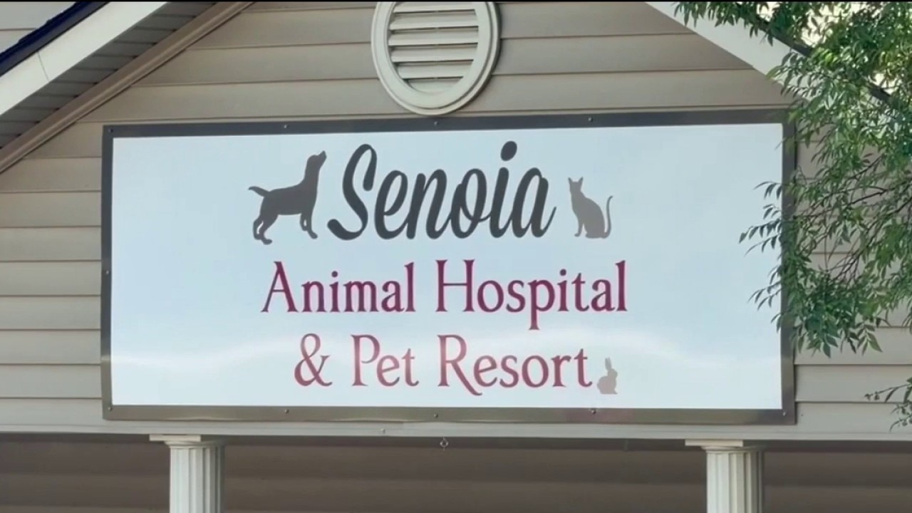 Senoia pet owners discover sick pets kept alive after paying for euthanasia