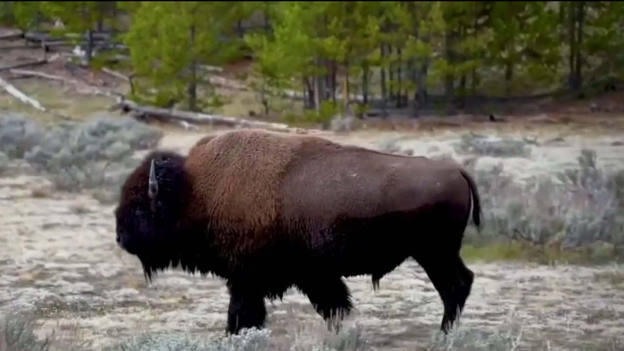 America's National Parks celebrating 110th birthday