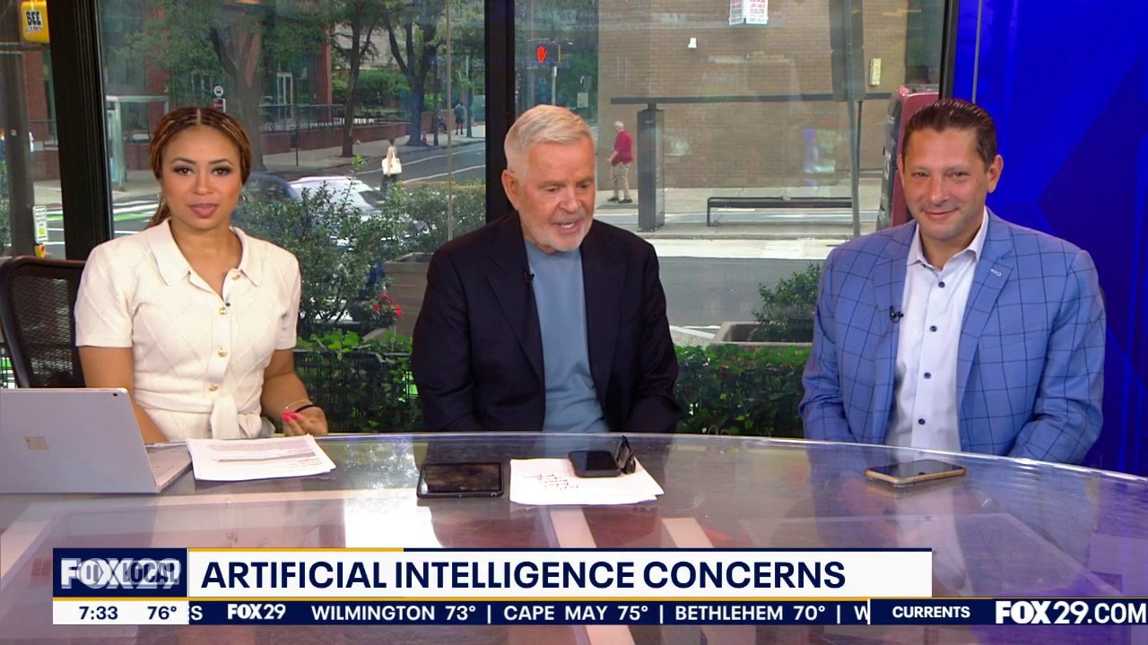 Artificial Intelligence Concerns