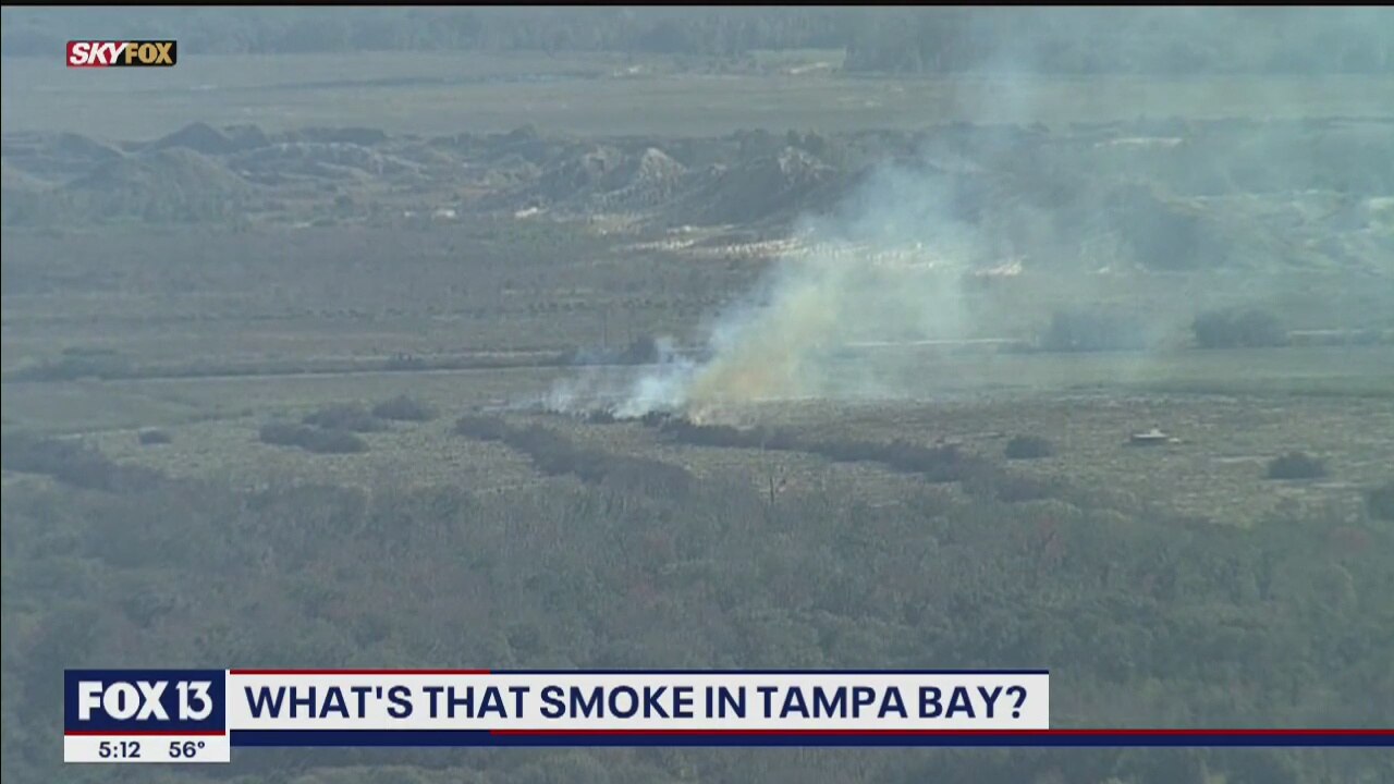 Controlled burns explained
