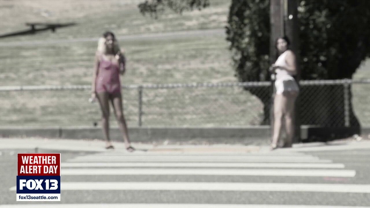 Seattle police crack down on crime, prostitution along Aurora Avenue