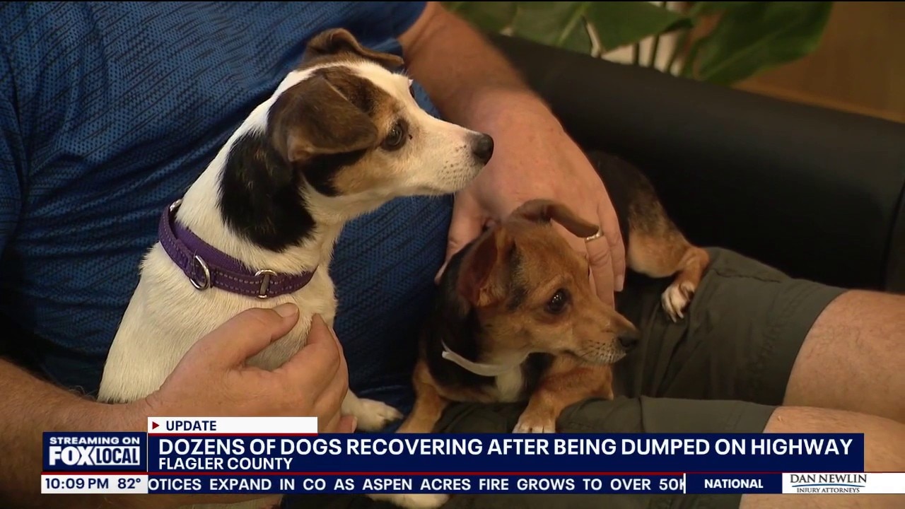 2 men charged after dozens of neglected dogs abandoned, deputies say
