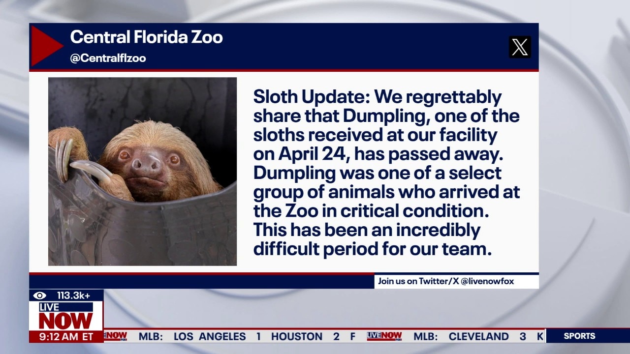 50+ sloths dead in Orlando 