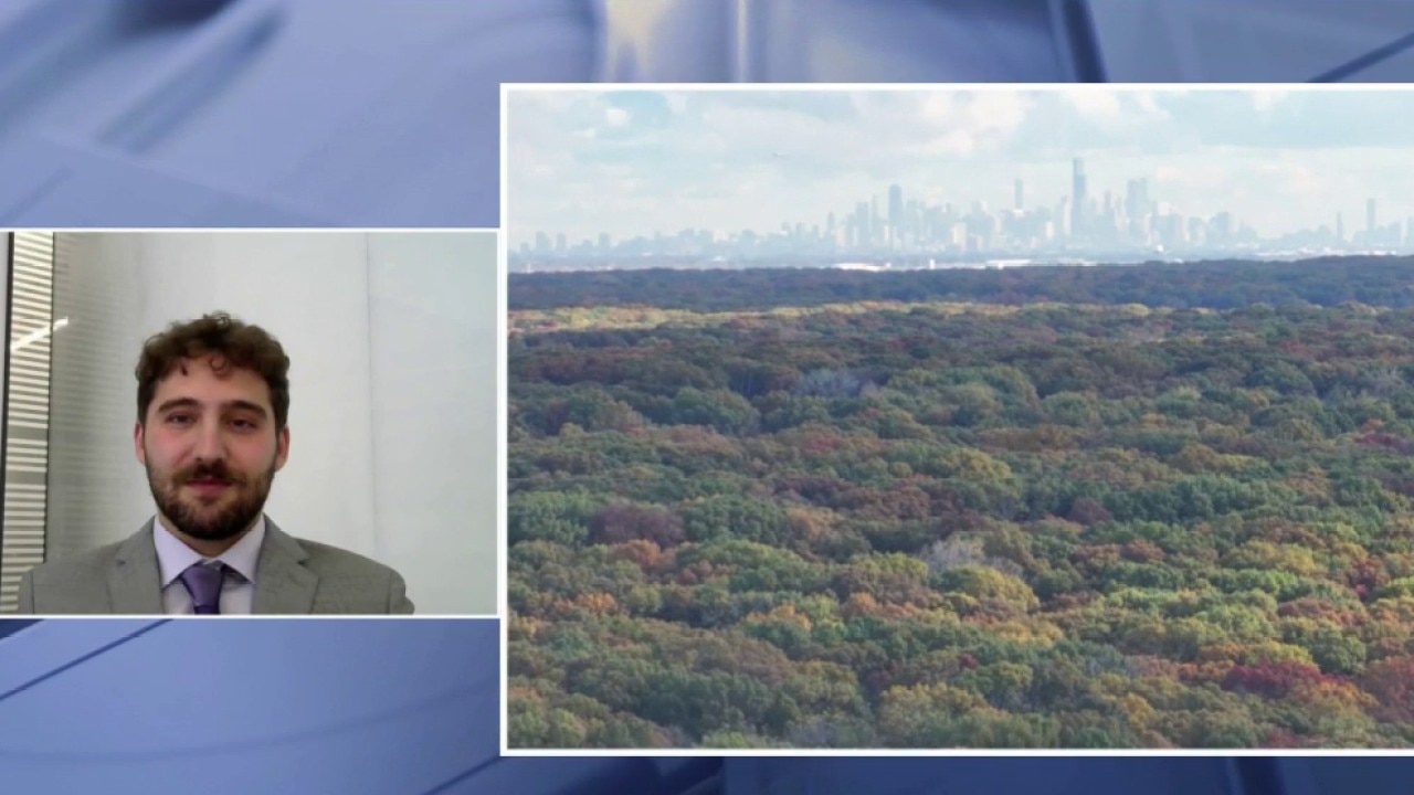 More trees, better health? Northwestern University says tree canopy loss linked to mortality