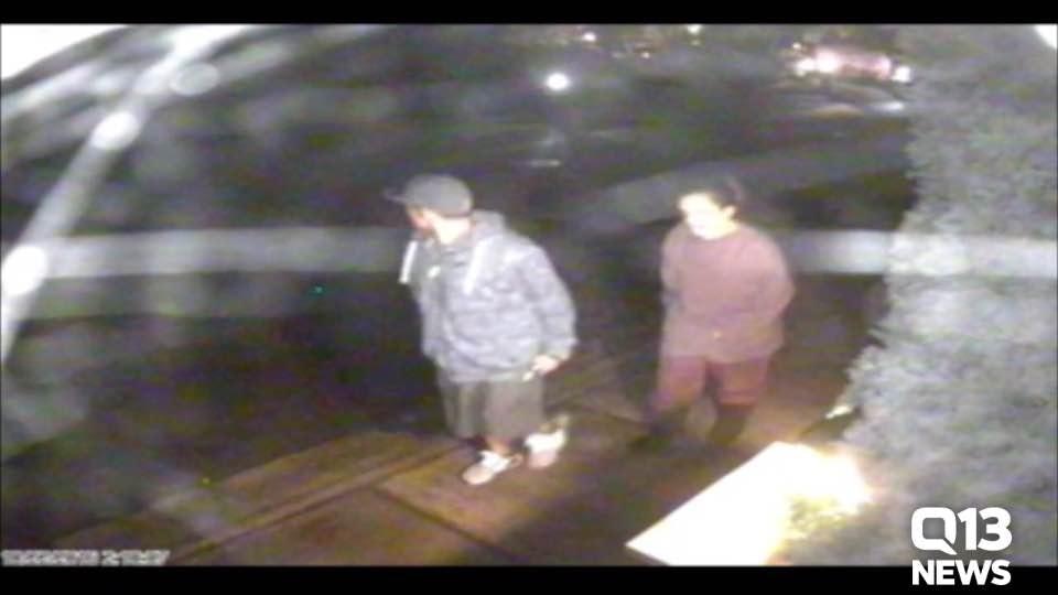 Sammamish car prowls
