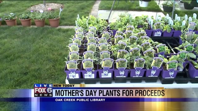 Flowers for mom: "Friends of the Oak Creek Public Library" hosts second annual plant sale