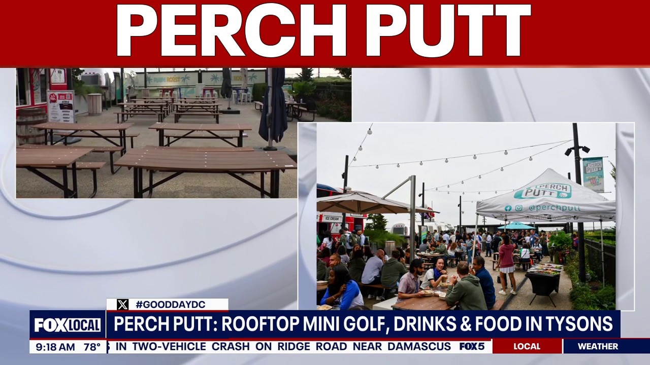 Perch Putt: Rooftop Minigolf in Tysons