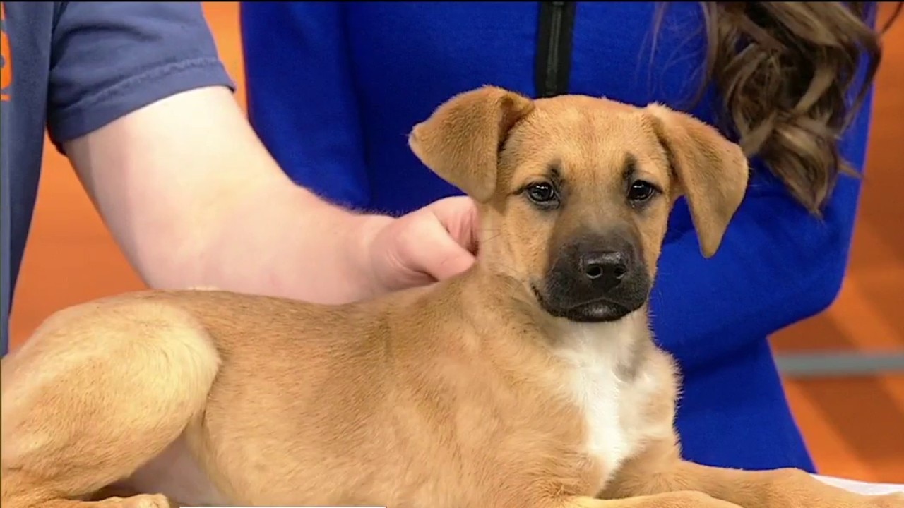 Pet of the day: Grotto