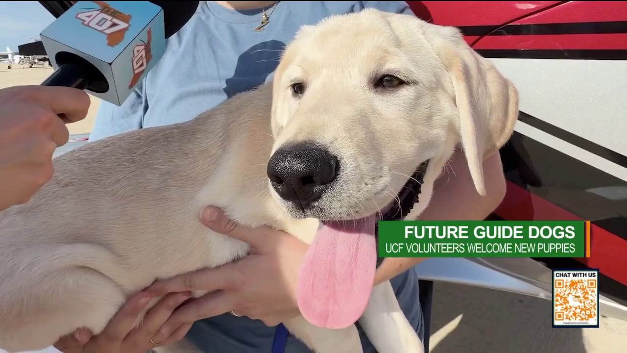 Watch the heartwarming moment UCF students welcome new guide dog puppies to Central Florida