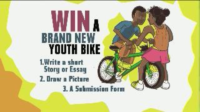 Milwaukee bike collection