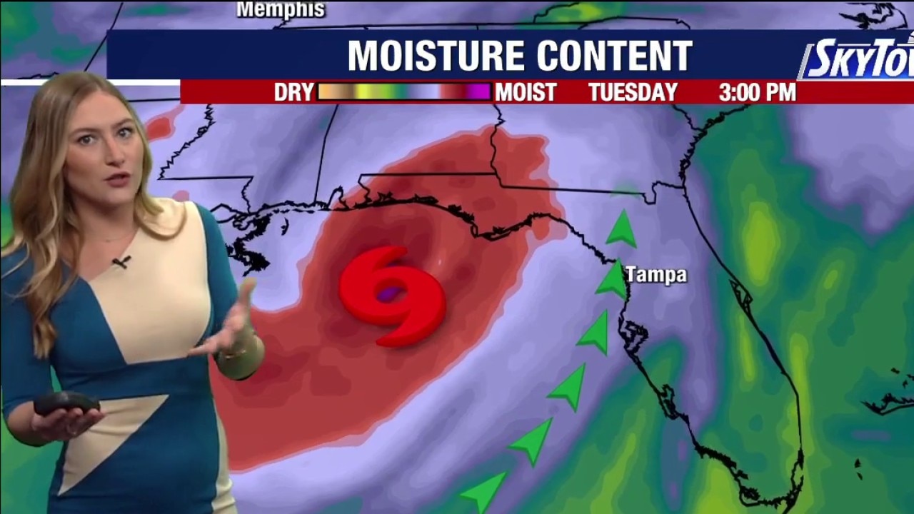 Tampa weather | Tuesday morning forecast