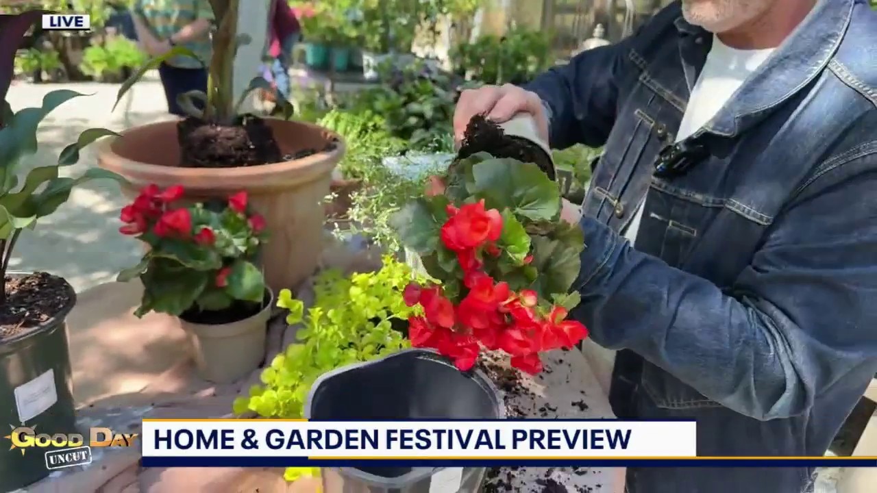 Good Day Uncut: Chestnut Hill's Home And Garden Festival Preview