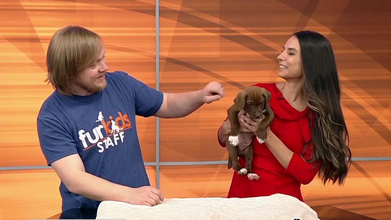 Pet of The Day: Freddie