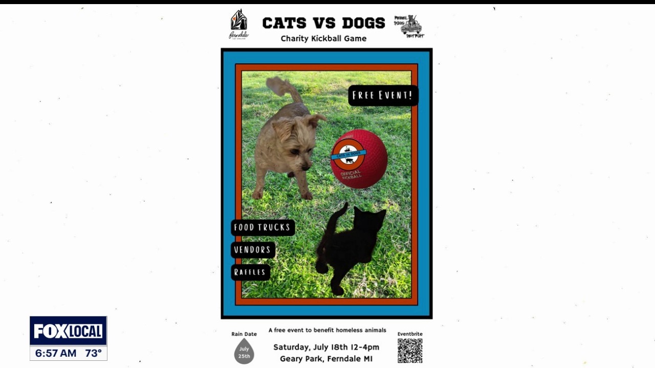 Cats vs Dogs charity kickball