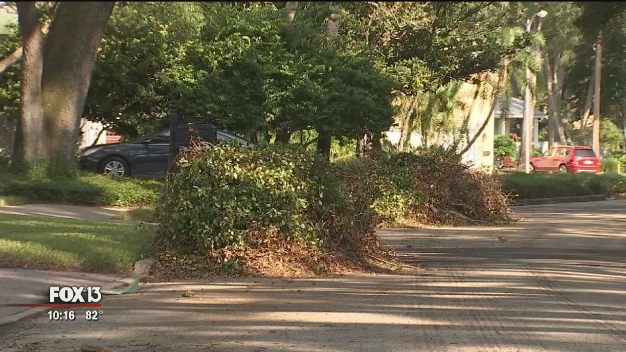Debris removal efforts increased in Tampa