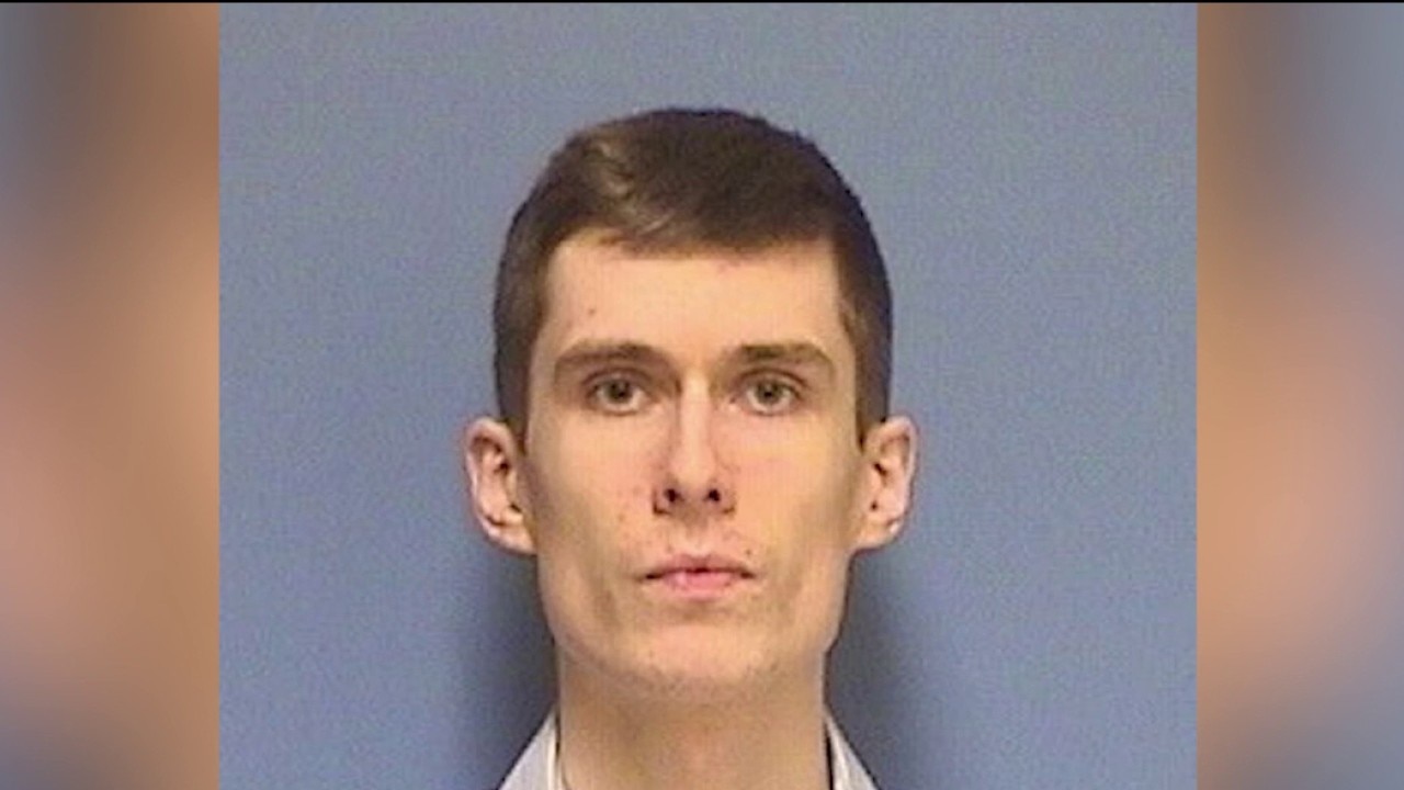 Chicago kitten killer released on mandatory supervision