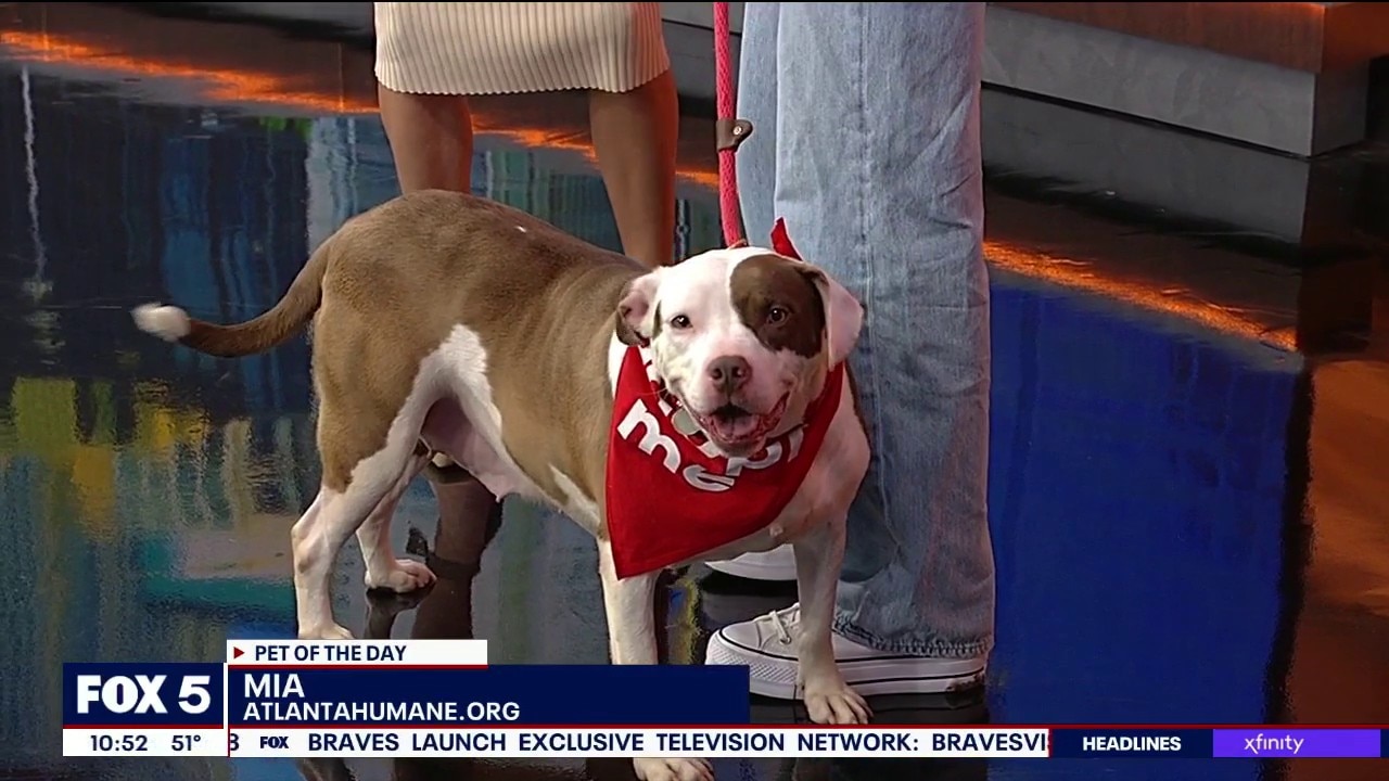 Pet of the day: Mia